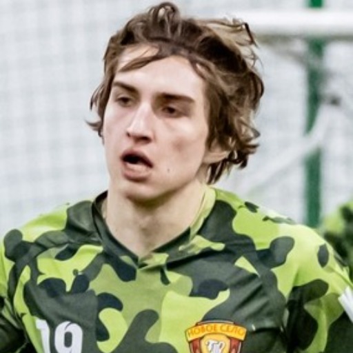 Челышков Роман Андреевич