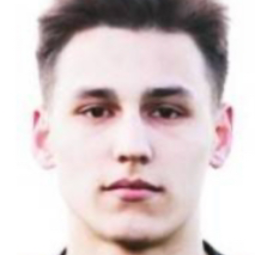Безруков Даниил Романович
